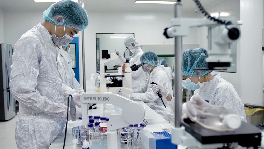 Khám phá các nhân vật và vai trò đặc biệt trong Pandemic
